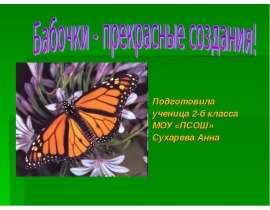 Бабочки - прекрасные создания!