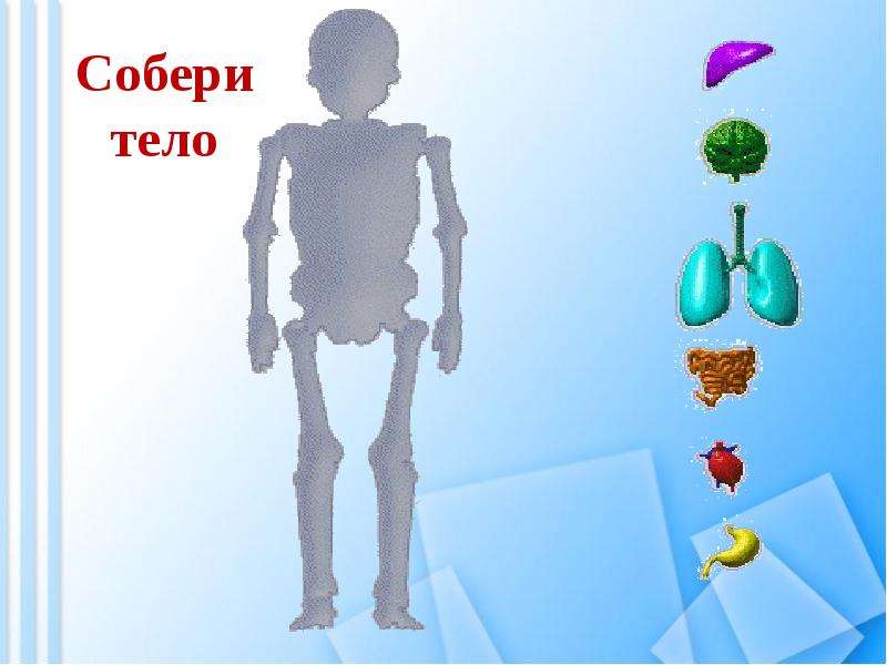 Будь здоров 2 класс перспектива презентация