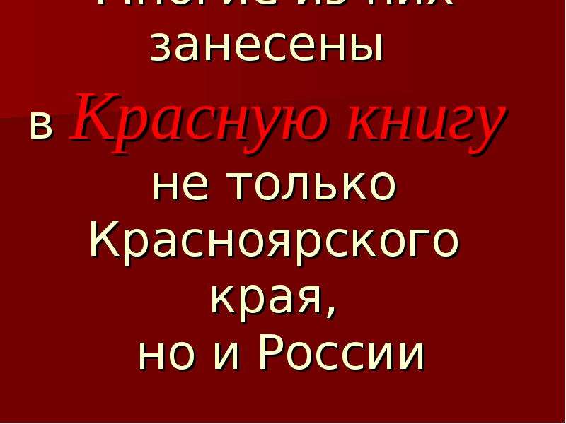 Красная книга красноярского края презентация