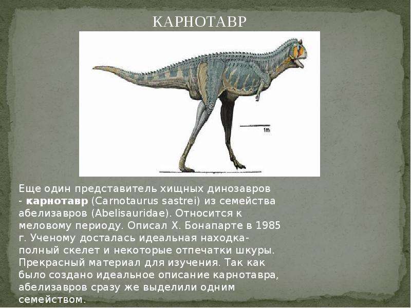 Презентация динозавры 7 класс биология