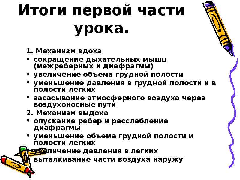 Что способствует увеличению жизненной емкости легких. Дыхательные движения. Механизм вдоха . 1 Сокращение. Модель Дондерса механизм вдоха и выдоха. Лабораторная работа дыхательные движения 8 класс биология.