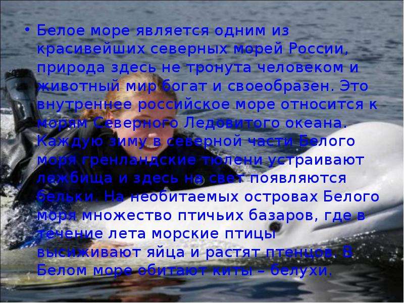 Белое море презентация. Рассказ о белом море. Белое море информация. Сообщение о белом море.