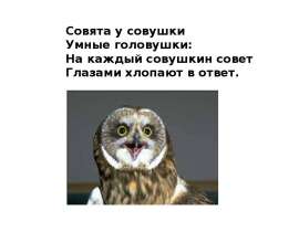 Е. И Чарушин
