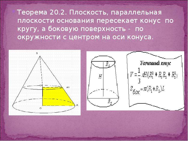 20 теорема. Плоскость параллельная основанию конуса. Конус на плоскости. Сечение параллельное основанию конуса круг. Плоскость параллельная плоскости основания конуса.