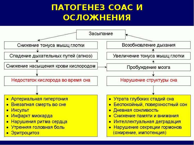 Доклад: Храп и апноэ