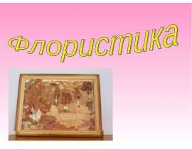 Флористика