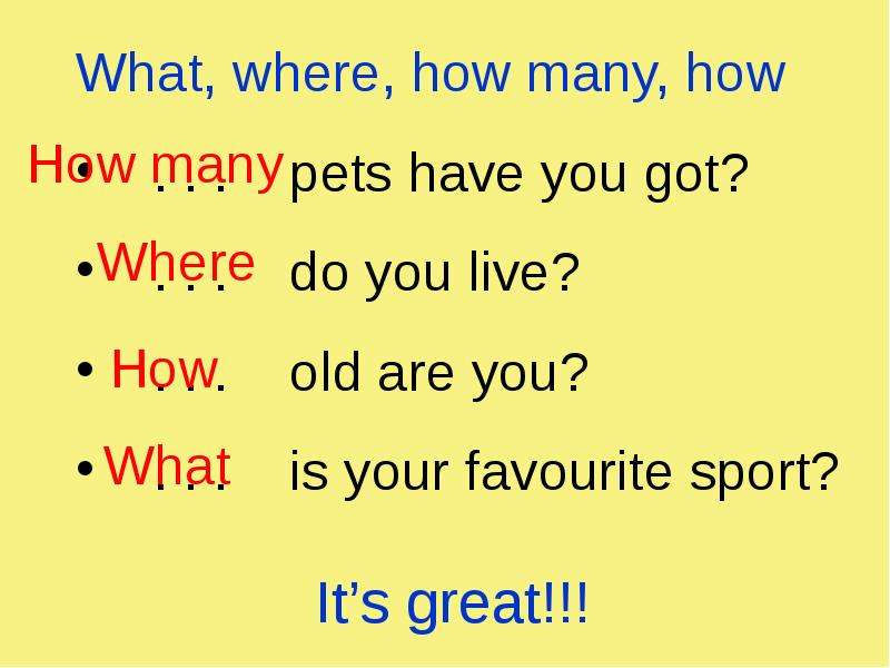 What, where, how many, how What, where, how many, how . . . pets have you got? . . . do you live? .