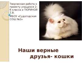 Наши верные друзья - кошки