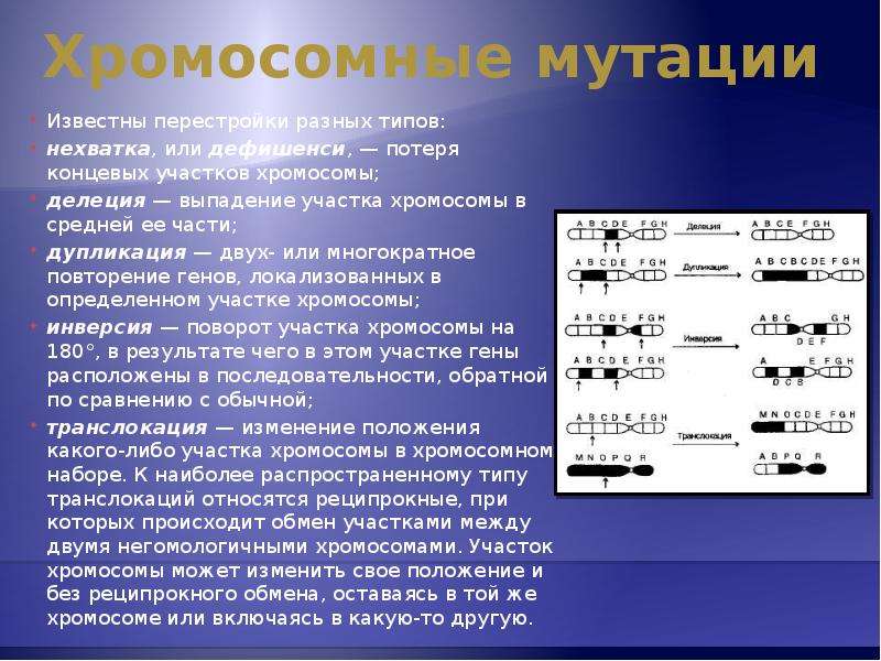 Хромосомные мутации перестройка