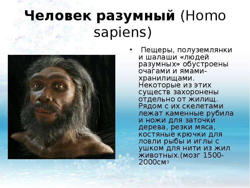 Возникновение homo sapiens. Хомо сапиенс человек разумный. Первые люди хомо сапиенс. Первый человек разумный. Хомо сапиенс появился.