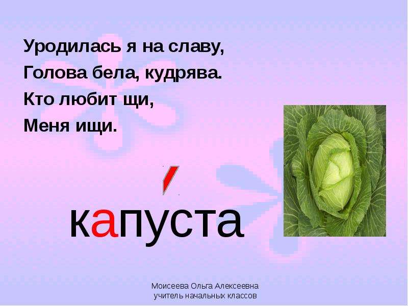 Капуста схема слова цветная