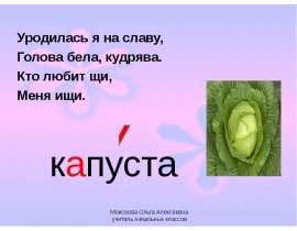 Капуста
