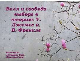 Воля и свобода выбора в теориях У. Джемса и