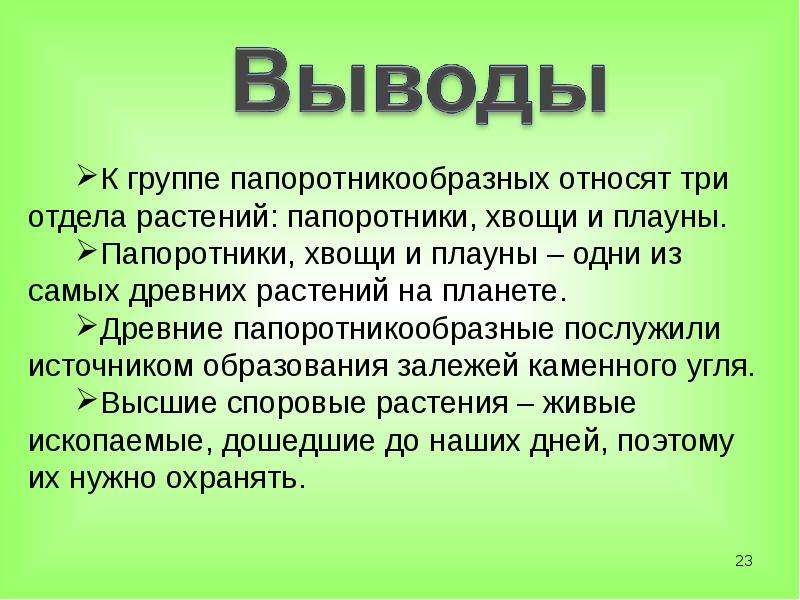 Вывод папоротника. Вывод о папоротникообразных. Папоротники хвощи плауны вывод. Заключение папоротникообразных. Вывод по теме папоротники.