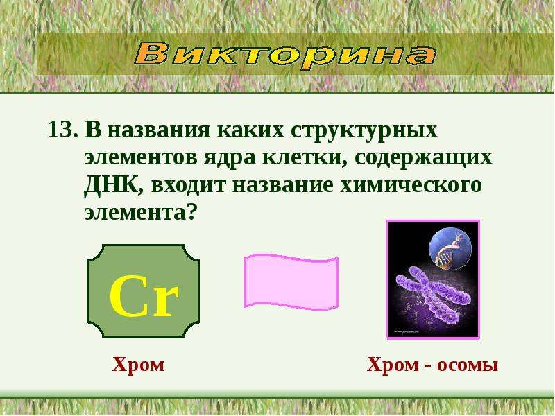 Название входи. Структурные элемент ядра клетки, содержащий ДНК это. Обязательные компоненты ядерной клетки. Структурные элементы клетки, содержащие ДНК. Главным структурным компонентом ядра клетки являются.