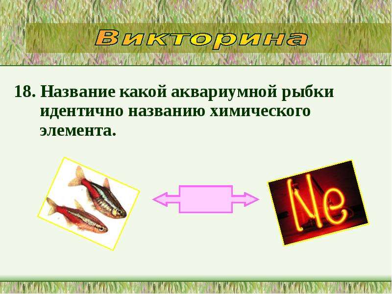 Назови 18. Рыба с названием химического элемента. Химическое название рыбы. Название какой рыбки носит название химического элемента. Аквариум с рыбками название химического вещества и формула.