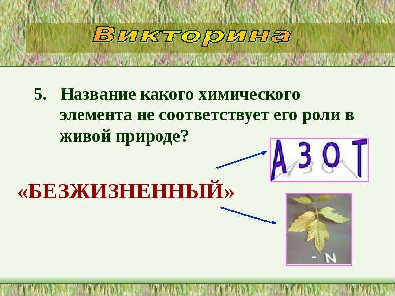 Какой называется. Природа наименования химического элемента. Роль химических элементов в природе. Химические элементы и роль в живой природе. Химические элементы преобладающие в живой природе.