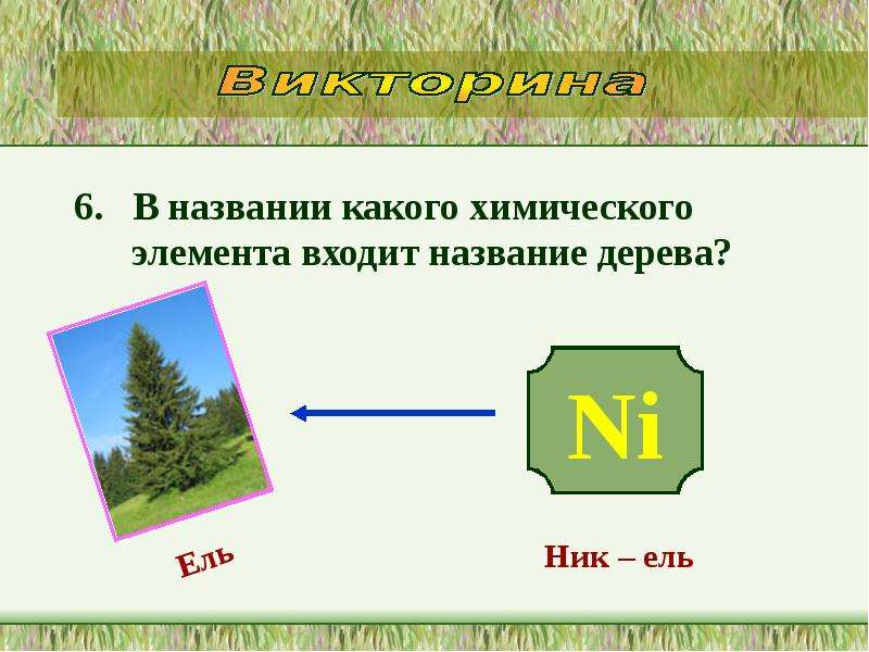 Вошел входит войдет назвать. Дерево с химическими элементами. В названии какого химического элемента входит название дерева. Название дерева хим элемент. Какой химический элемент входит в название дерева?.