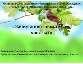 Зачем животным нужны хвосты (3 класс)
