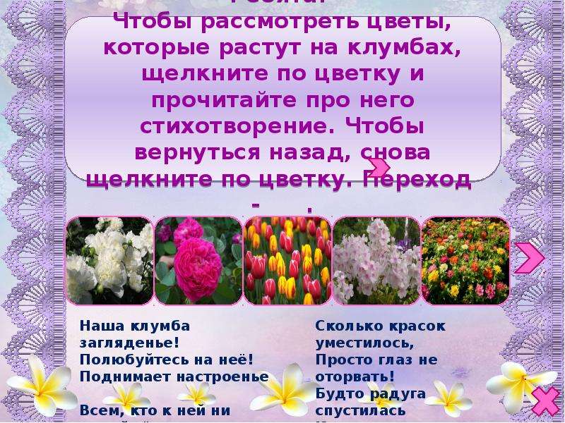 Что растет на клумбе 1 класс окружающий. Стихи про цветы на клумбе. Что растет на клумбе. Что растет на клумбе презентация. Стихи про цветник.