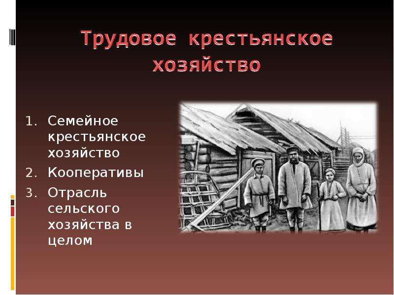 Индивидуального крестьянского. Теория крестьянского хозяйства. Семейно Трудовое Крестьянское хозяйство. Теория трудового крестьянского хозяйства. Название для крестьянского хозяйства.