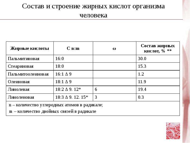 Почему содержание жирных кислот. Состав и строение жирных кислот организма человека. Состав жира человека. Состав жирных кислот человека. Состав подкожного жира человека.