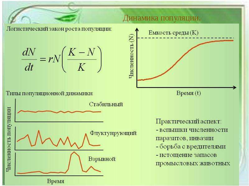 Модели динамики роста. Динамика популяций 11 класс презентация. Динамика численности популяции. Динамика роста численности популяции. Типы динамики численности.