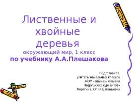Лиственные и хвойные деревья
