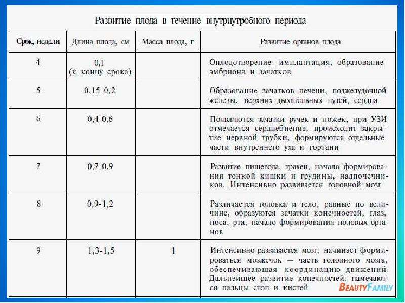 Презентация по биологии 8 класс развитие зародыша и плода беременность и роды