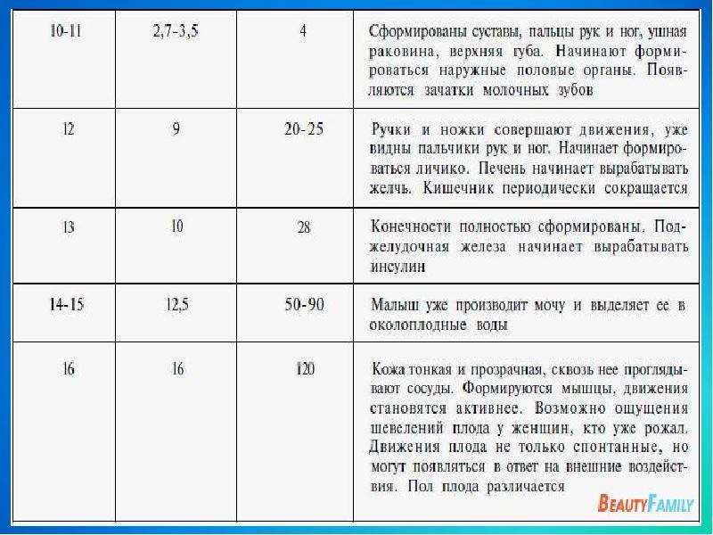 Таблица шевеления плода образец заполнения норма