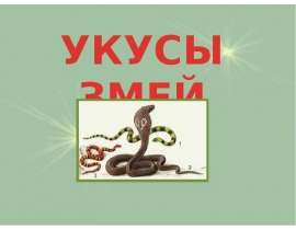 Укусы змей