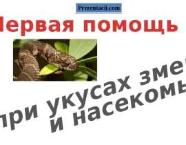 Первая помощь при укусах змей и насекомых