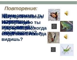 Компьютер и его части (2 класс)