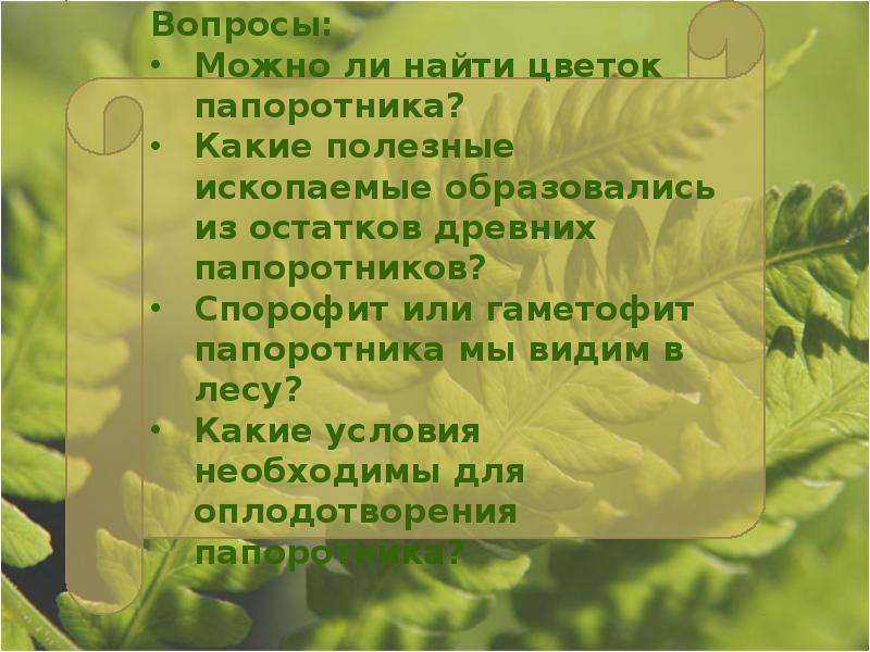 Папоротник полезное ископаемое. Папоротникообразные презентация 5 класс биология. Папоротники 5 класс биология презентация. Отмершие части древних папоротников. Из прессованных остатков древних папоротников образовался.