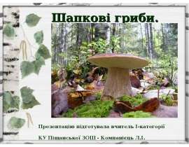 Шапкові гриби