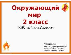Пожар (2 класс)