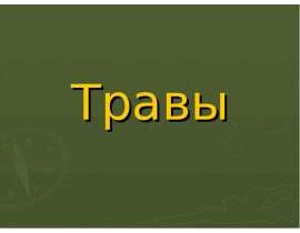 Травы