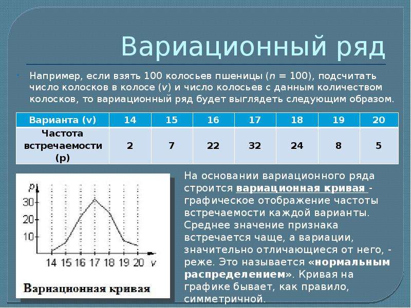 Модификационная изменчивость презентация 10 класс