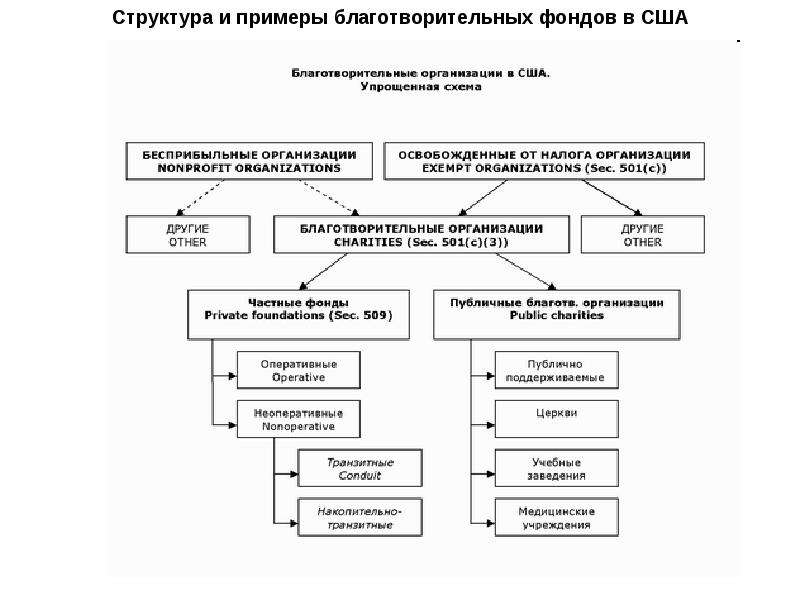 Структура некоммерческой организации схема