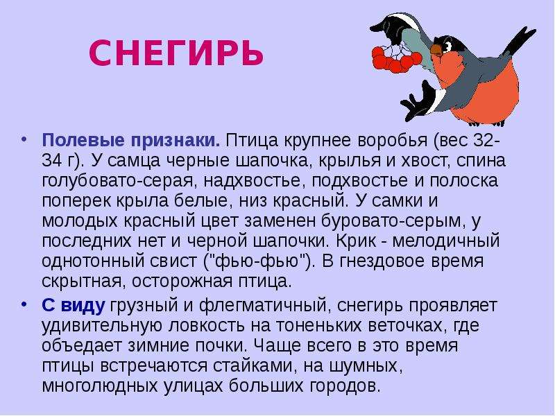 Тексты По Стилям Про Снегиря