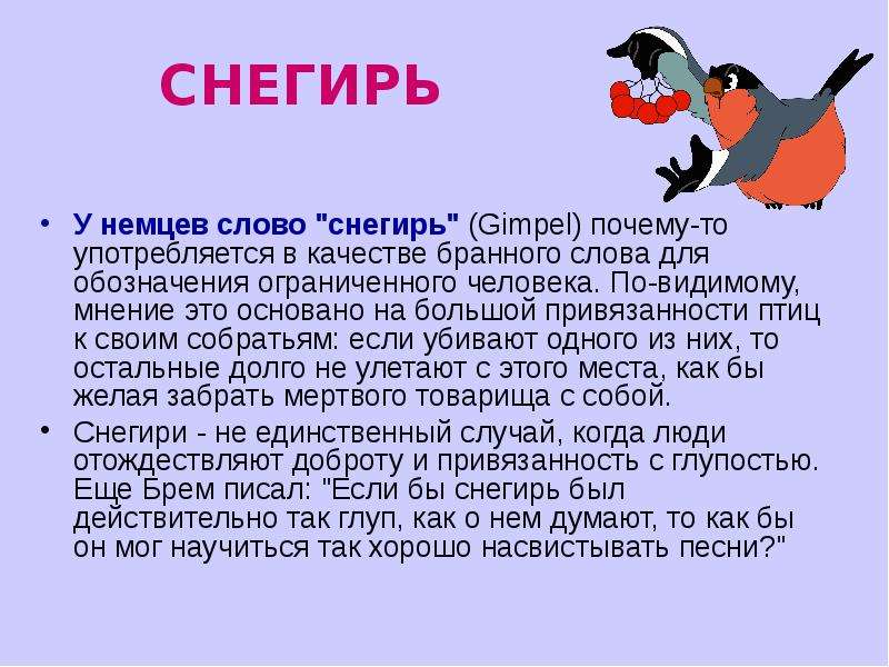 Предложение со снегирем