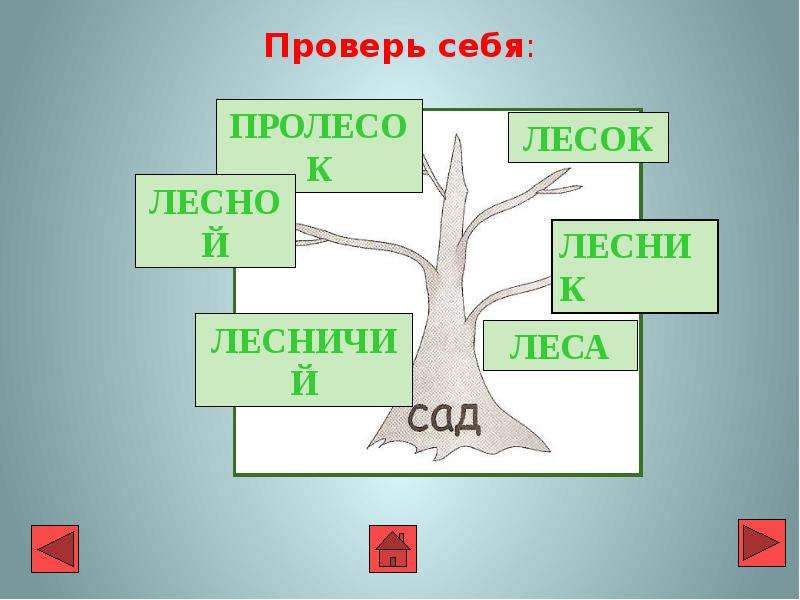 Родственные слова 2 класс. Дерево родственных слов сад. Родственные слова к слову сад. Родственные слова к слову сад 2 класс. Цепочки родственных слов.