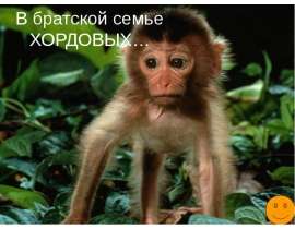 В братской семье ХОРДОВЫХ…