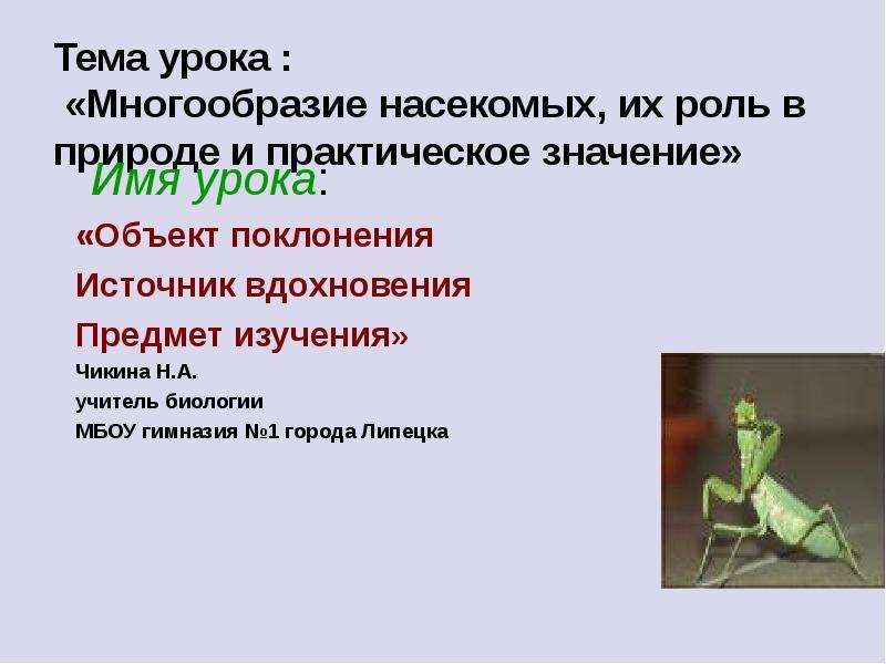 Тест по биологии многообразие насекомых 7 класс. Роль насекомых в природе. Почвообразующая роль насекомых.