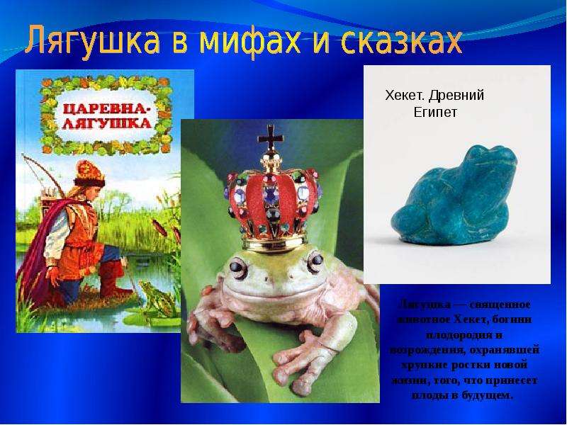 Гаршин лягушка путешественница презентация 3 класс школа россии