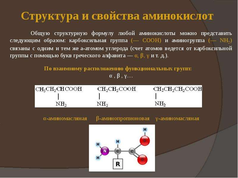 Аминокислоты презентация 9 класс химия