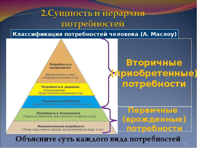 Что нужно человеку проект