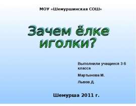 Зачем ёлке иголки?