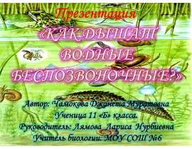 Как дышат водные беспозвоночные?