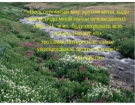 Певчий дрозд